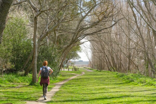 ashley_river_cycle_and_walkway_momac_photography_Bellgrove_photos_rangiora_amenities_small_26 ashley_river_cycle_and_walkway_momac_photography_Bellgrove_photos_rangiora_amenities_small_26