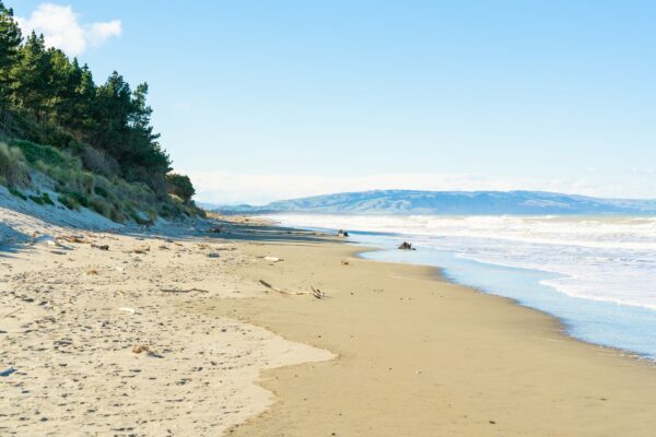 waikuku_beach_momac_photography_Bellgrove_photos_rangiora_amenities_small_74 waikuku_beach_momac_photography_Bellgrove_photos_rangiora_amenities_small_74
